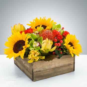 Picnic Flowers