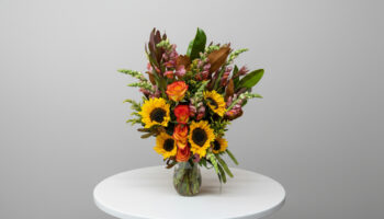 Autumn Breeze By Divine