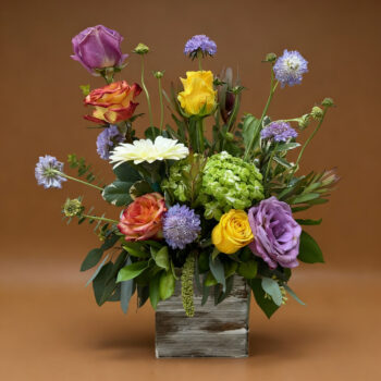 Floral Haven by Divine
