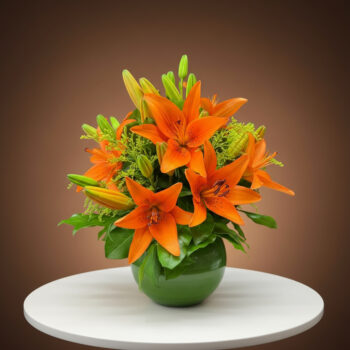 Summer Bloom Lily's