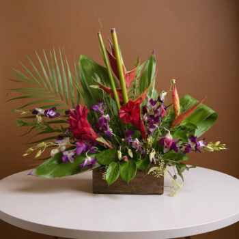 Tropical Summer Glow by Divine