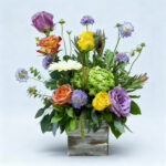 Wooding Box - Good Vibe