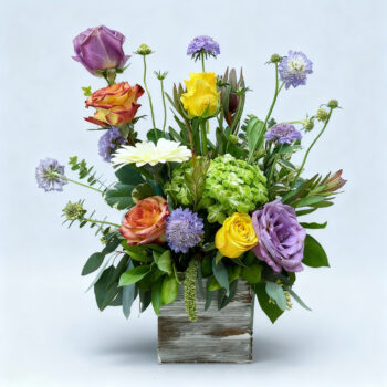 Wooding Box - Good Vibe