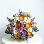 dd1c1663-2889-4ba3-9a61-2b13f2a2e931