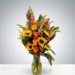 Giving Thanks by Divine