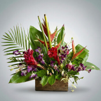 Tropical Summer Glow by Divine